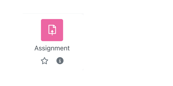 Screenshot shows the Assignment- Icon displayed in the Activity Chooser.