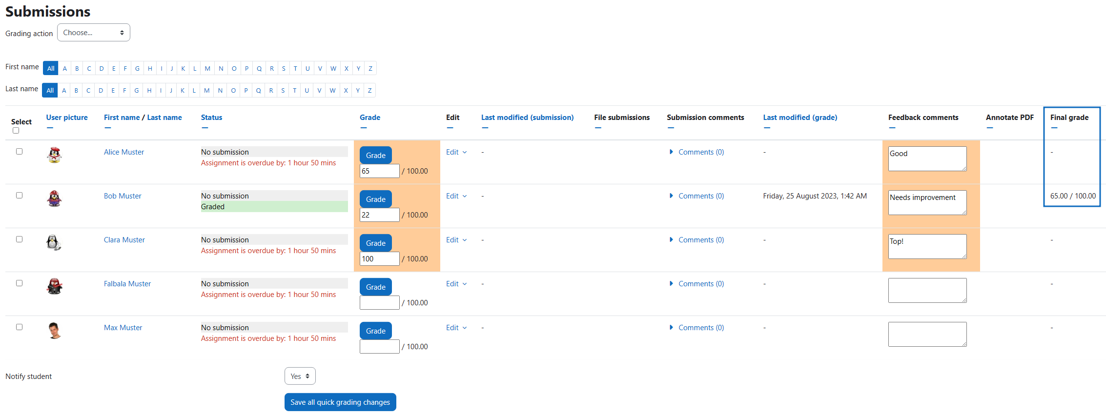 Screenshot: Evaluate submissions and provide feedback