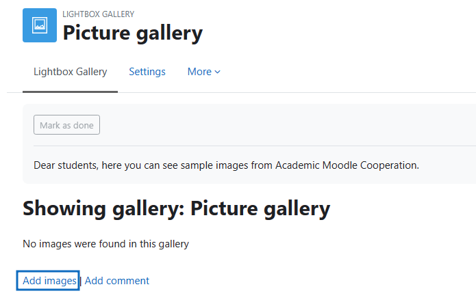 Screenshot: Add images to the gallery