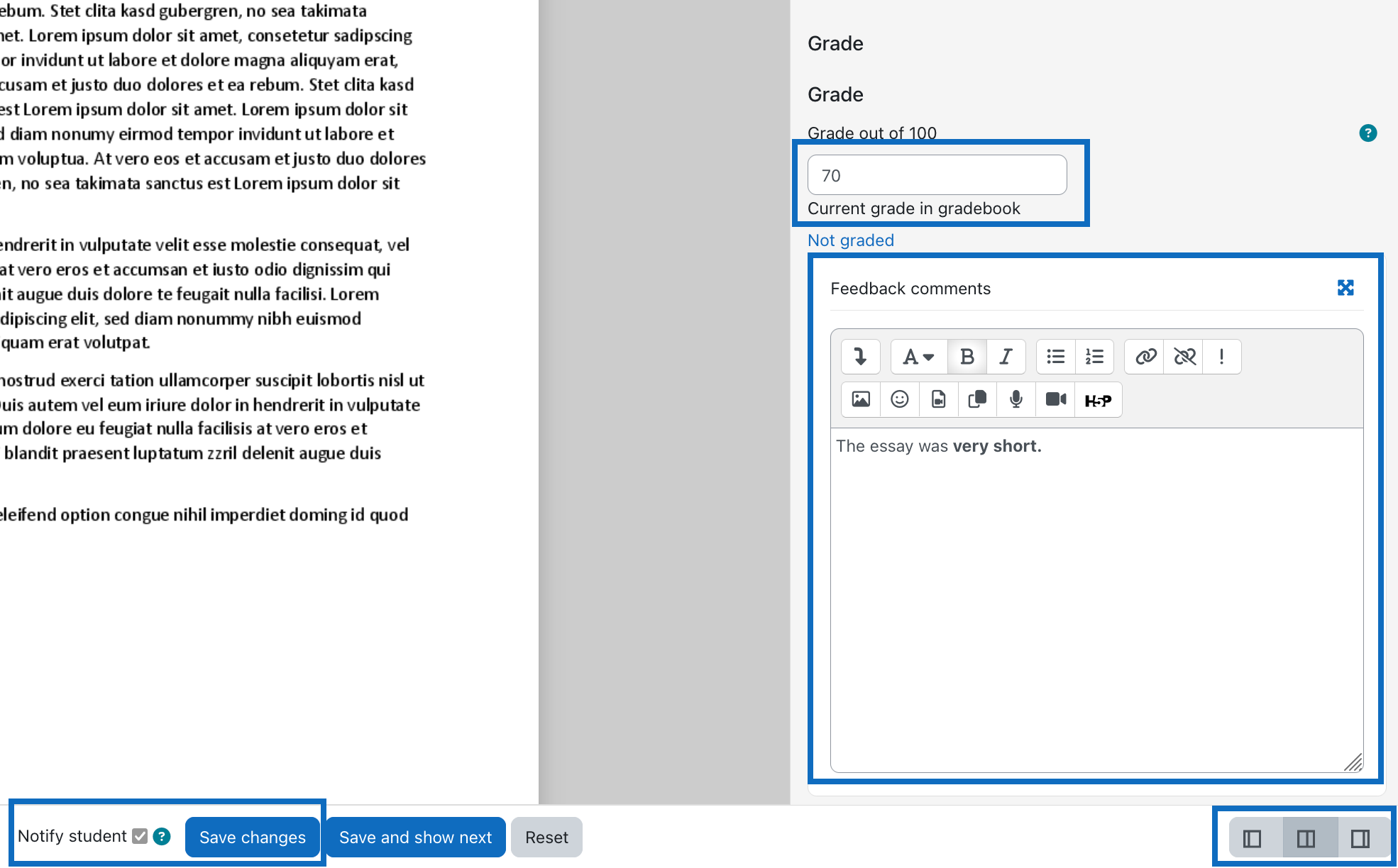 Screenshot shows various text fiels for grading and comments.