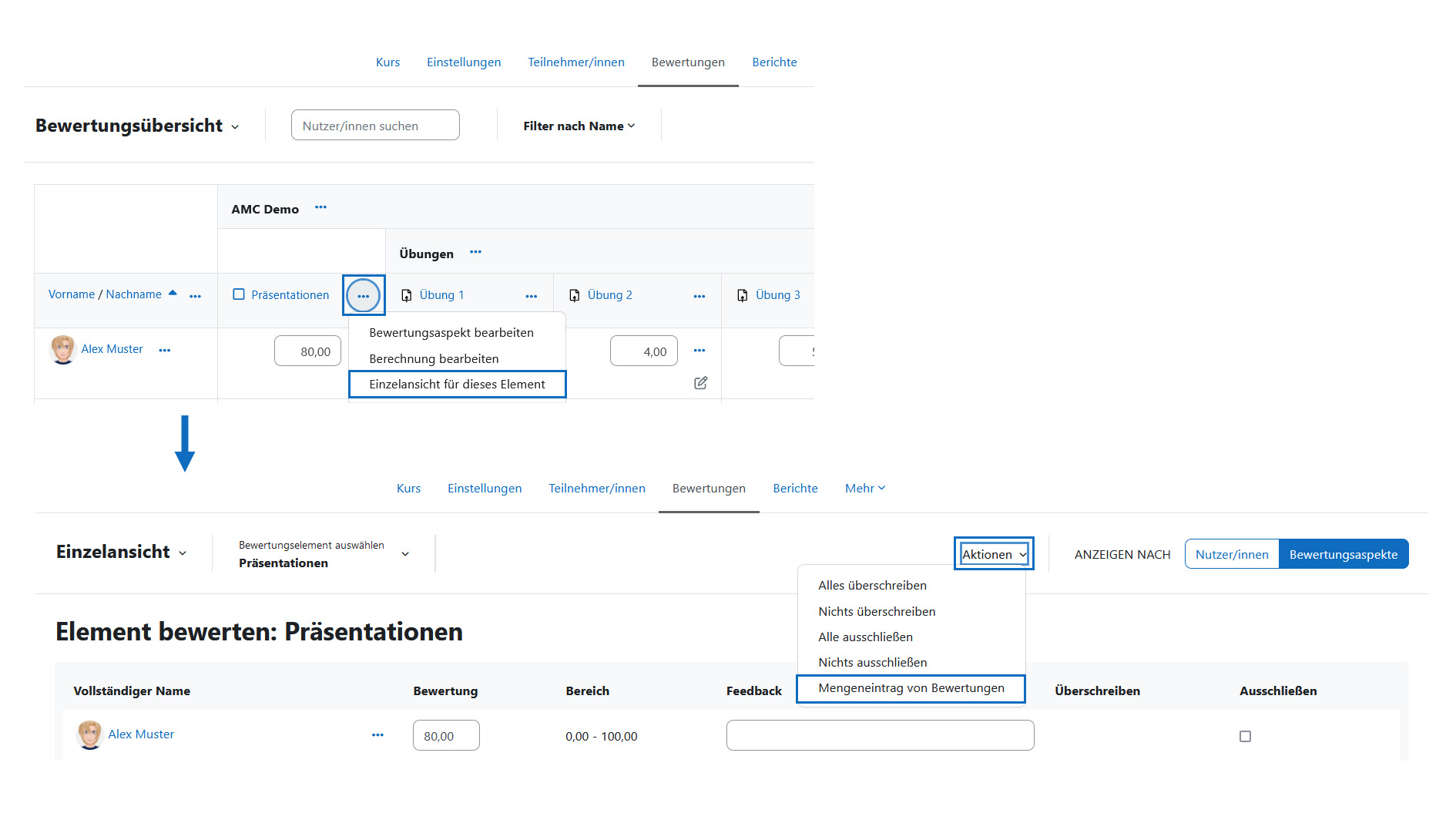 Screenshot: Einzelansicht von Bewertungsaspekten aufrufen und Mengeneintrag durchführen