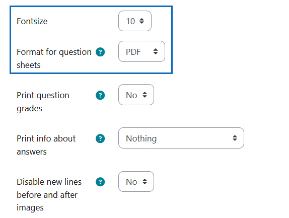 Screenshot: settings for fontsize and file forma of the questionnaire