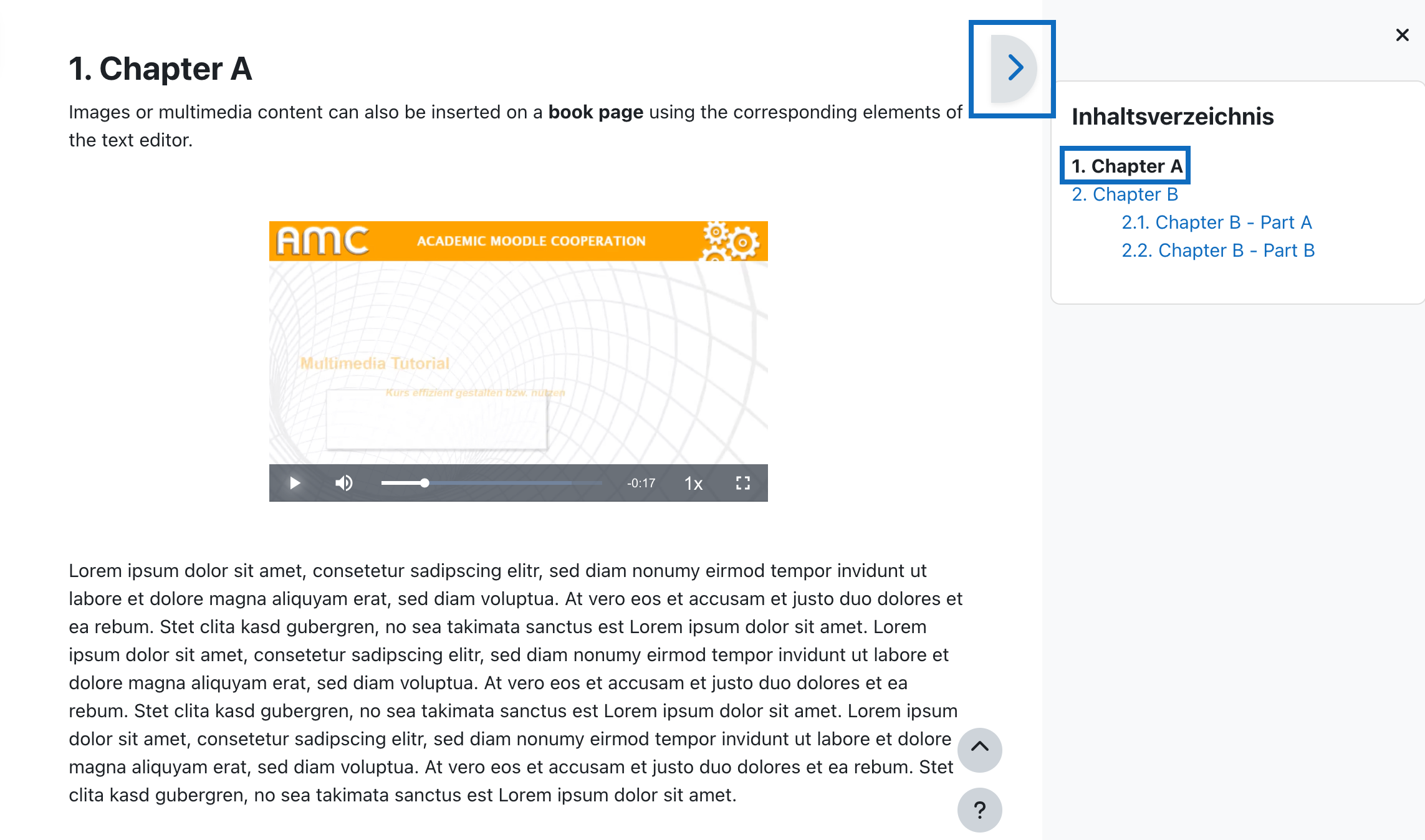 Screenshot shows a page of the book with various media content in reading mode.