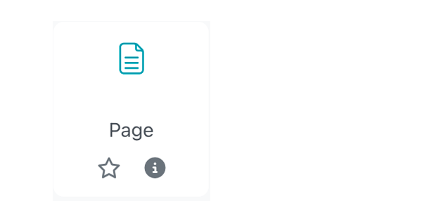 Screenshot shows Icon of the ressource called Page.