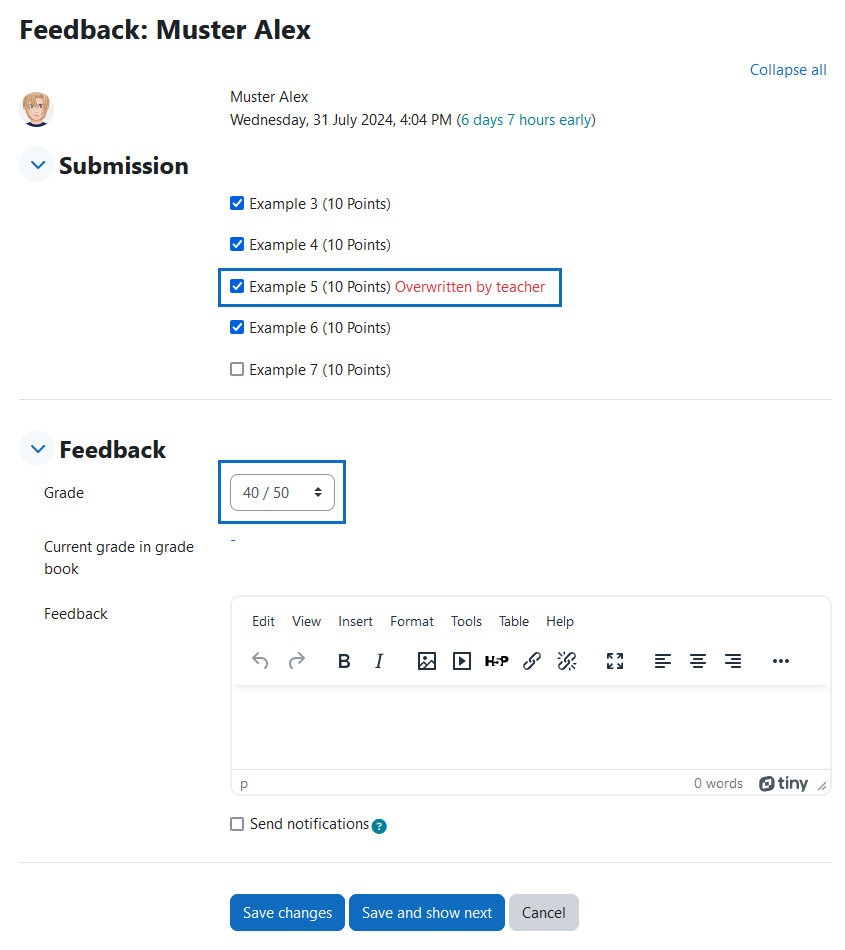 Screenshot: individual grading of a submission