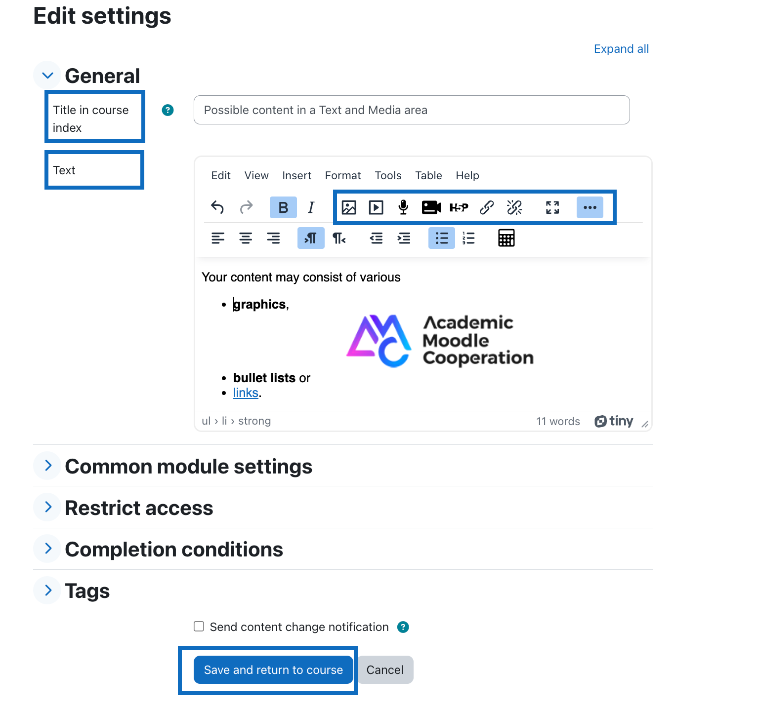 Screenshot shows how to display the various media types in a text field.