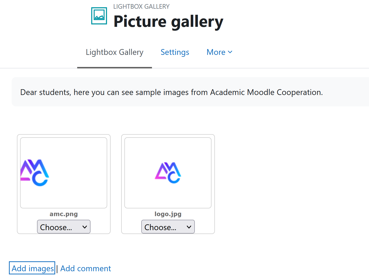 Screenshot: Add images to the gallery