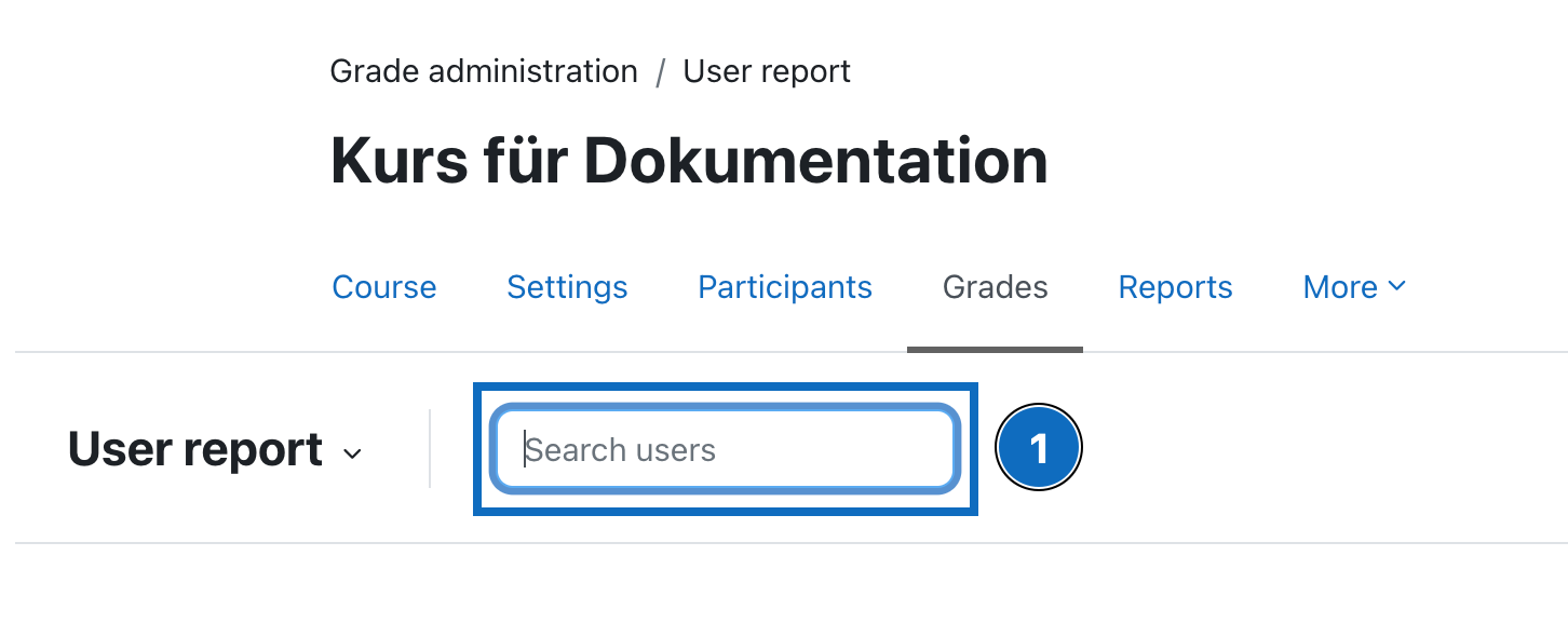 Screenshot shows the field 