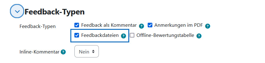 Screenshot: Aktivierter Parameter Feedbackdateien in den Einstellungen der Aufgabe