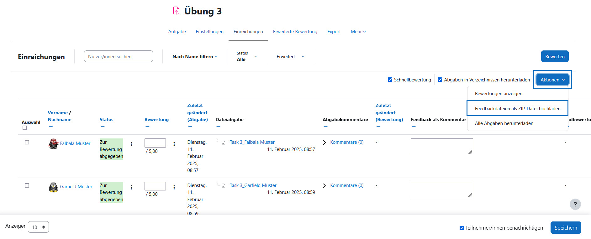 Screenshot: Upload ZIP-Feedback Datei