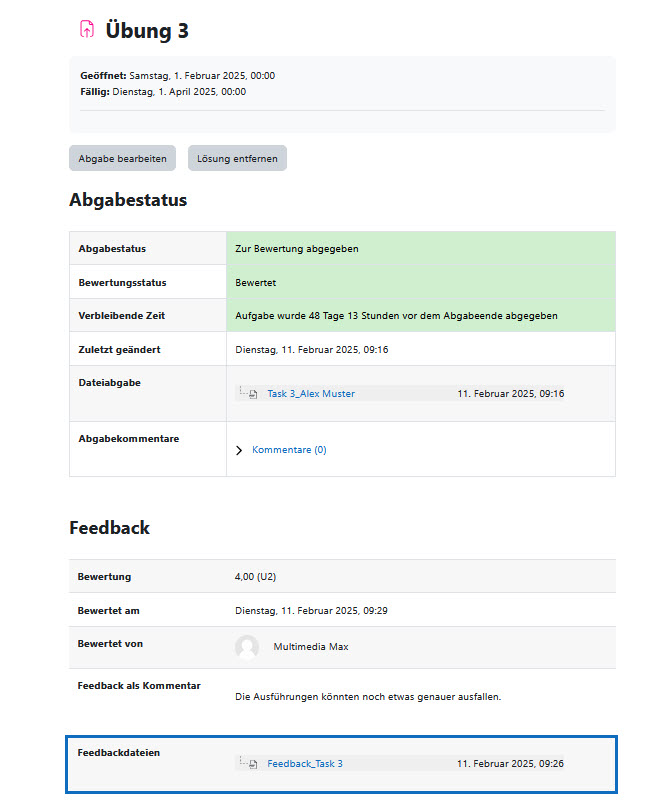 Screenshot: Feedback-Datei in der Studierendenansicht