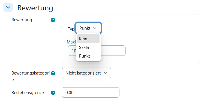 Screenshot: Bewertungseinstellungen für die Aktivität