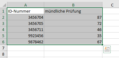 Screenshot Bewertungsimport aus Excel