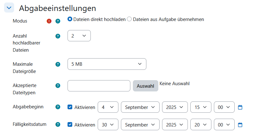 Screenshot: Abgabeeinstellungen für den Modus „Dateien direkt hochladen“