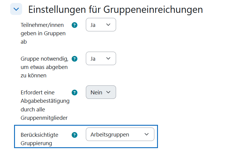 Screenshot: Einstellungen für Gruppeneinreichungen - „Berücksichtigte Gruppierung“