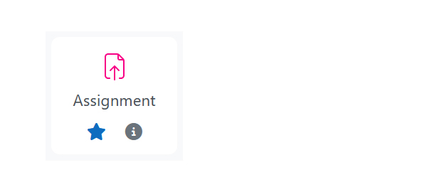 Assignment icon