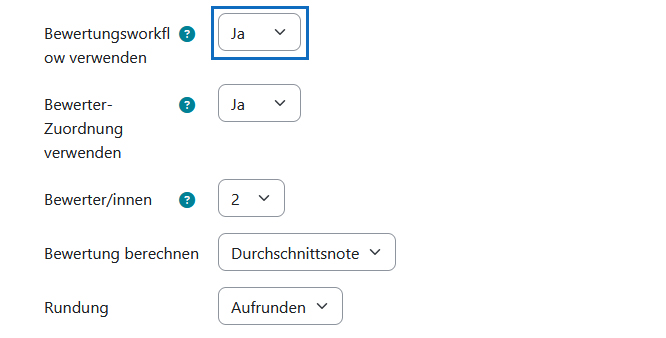 Screenshot: Bewertungsworkflow aktivieren und weitere Einstellungen zum Bewertungsworkflow