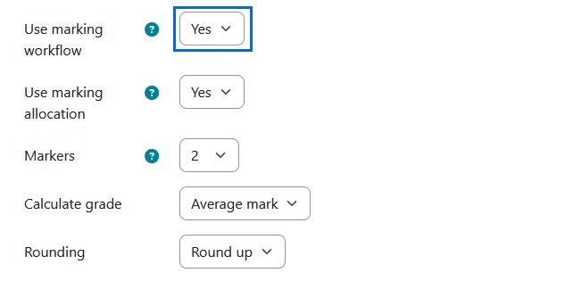 Screenshot: Enable marking workflow and further marking workflow settings