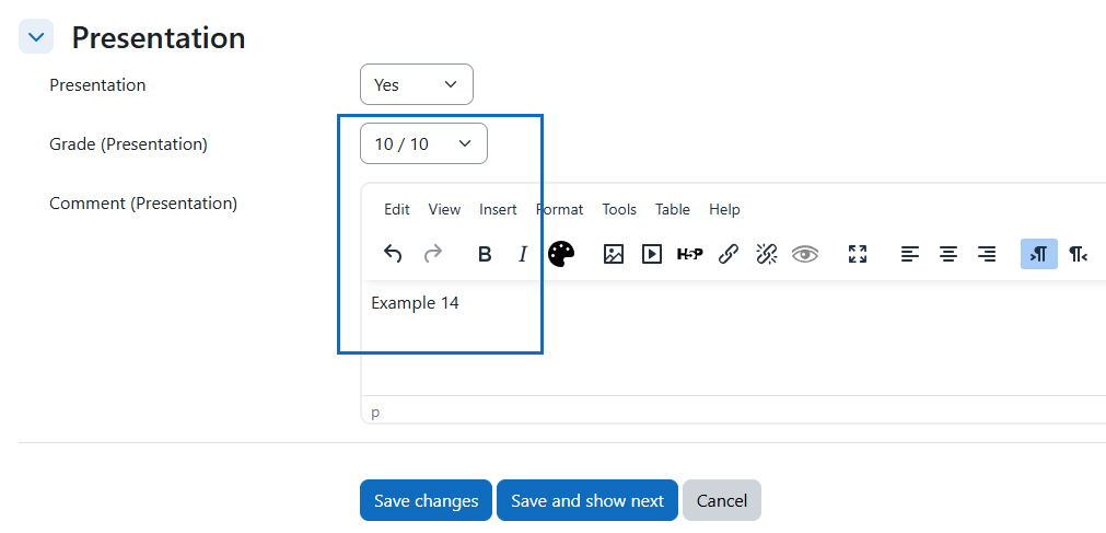 Screenshot: individual grading of the presentation