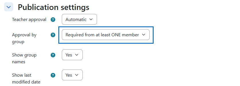 Screenshot: publication settings when importing files from a group assignment