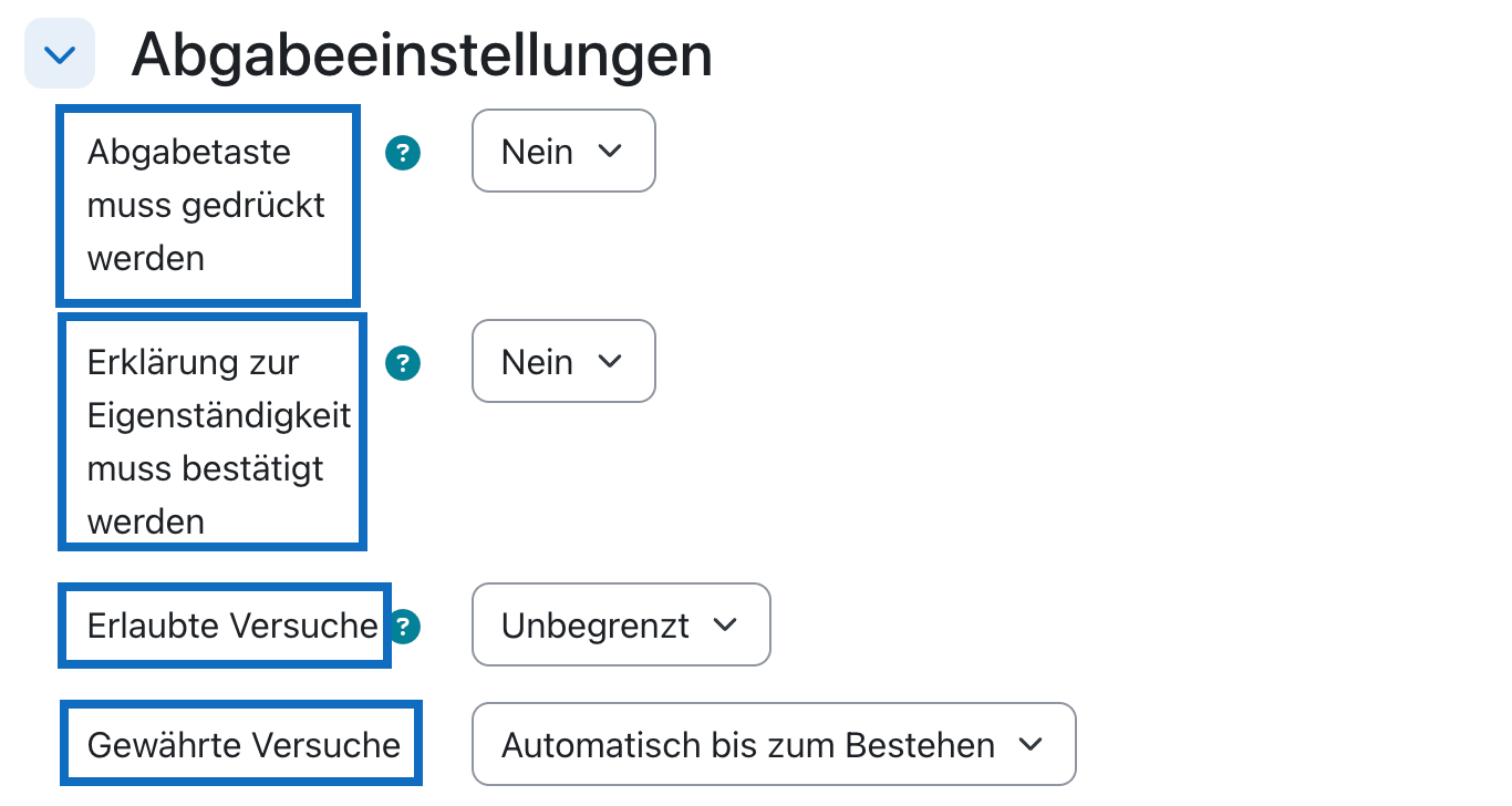 Screenshot zeigt verschiedene Optionen zu den Abgabeeinstellungen der Aufgabe